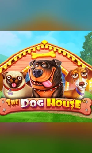The Dog House slot by Pragmatic Play at Jack-Pot